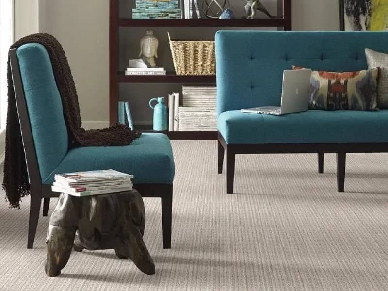 Caress carpet in mid-century modern living room